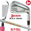 メーカーカスタムクラブ ダンロップ SRIXON ZXi5 右用 アイアン 6本セット(#5-PW) Dynamic Gold DST New Design シ...