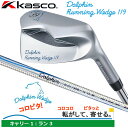 Kasco DOLPHIN RUNNING WEDGE DRW-119 ロフト角39度/33・34inch キャスコ ドルフィン ランニング ウェッジ 女性にオススメ！33インチ ドルフィン DP-201 カーボンシャフト 【日本正規品】【送料無料】【2021年モデル】 その1