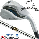 【受注生産】 Kasco DOLPHIN WEDGE DW-123 キャスコ ドルフィン ウェッジ ワン・ツー・スリー クロムメッキ/ストレートネック Dyna...