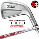 【8/22発売ご予約】タイトリスト T100 4G 2025 アイアン 6本セット(#5-PW) N.S.PRO MODUS3 TOUR 115 スチールシャフト メンズ 右用 ゴルフ Titleist 日本正規品