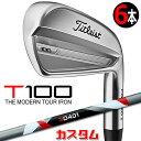 タイトリスト T100 2023 アイアン 右用 6本セット(#5-P) 3D401 カーボンシャフトTitleist 日本正規品