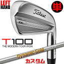 【レフティ/左用】【メーカーカスタム】タイトリスト T100 2023 アイアン 単品(#3、#4) Dynamic Gold 105 スチールシャフトTitl...