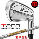 【メーカーカスタム】タイトリスト T200 2023 アイアン 右用 単品(W48) Dynamic Gold 95 スチールシャフトTitleist 日本正規...
