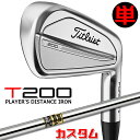 【メーカーカスタム】タイトリスト T200 2023 アイアン 右用 単品(W48) Dynamic Gold スチールシャフトTitleist 日本正規品