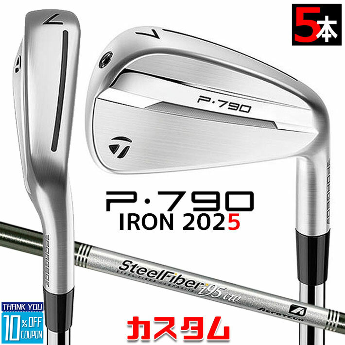 ᡼९ ơ顼ᥤ P790 2025  5ܥå(#6-PW)  SteelFiber ե ...