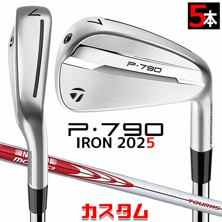メーカーカスタムクラブ テーラーメイド P790 2025 アイアン 5本セット(#6-PW) 右用 N.S.PRO MODUS3 TOUR 115 スチールシャフト 日本正規品 TaylorMade