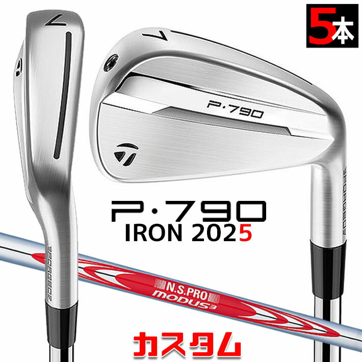 メーカーカスタムクラブ テーラーメイド P790 2025 アイアン 5本セット(#6-PW) 右用 N.S.PRO MODUS3 TOUR 120 スチールシャフト 日本正規(guī)品 TaylorMade