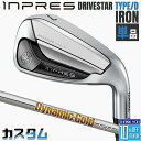 【メーカーカスタム】 ヤマハ INPRES DRIVESTAR TYPE/D 単品アイアン (#5、#6) Dynamic Gold 120 スチールシャフト ...