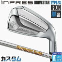 【メーカーカスタム】 ヤマハ INPRES DRIVESTAR TYPE/S 単品アイアン (#5、#6) Dynamic Gold 105 スチールシャフト ...