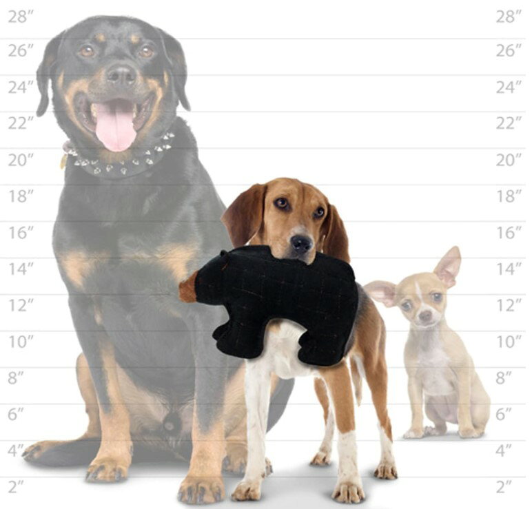 タフィーズ ベア [ジュニア] 熊 犬用 ぬいぐるみ 丈夫 長持ち 犬のおもちゃ 頑丈 スクイーカー 音が鳴る Tuffy's [耐久度7] 3