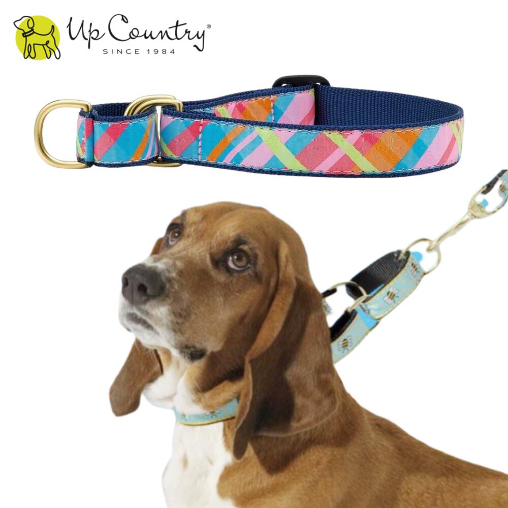 犬用 首輪 ハーフチョーク [ピンクマドラス] 抜けない 抜けにくい 抜け 防止 しつけトレーニング 引っ..