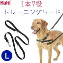 犬用 トレーニング リード 引っ張り防止 多頭飼い ダブルリード ボディーリード Halti ハルティー Lサイズ