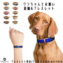 ArgusCollar アルゴスカラー ブレスレット単品 ワンちゃんとオーナーさんのペアリング お揃いでお出かけ 犬用 首輪&ブレスレット (14-18cm) ...