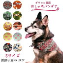 ArgusCollar (アルゴスカラー) 犬用 バンダナ おしゃれ よだれかけ ギリシャブランド (Sサイズ (首回り: 38cm) 送料無料 スカーフ 小型...