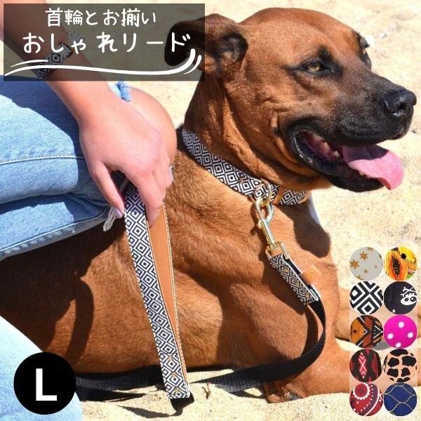 [クリアランス]犬用 リード リーシュ ビーガンレザー 小型犬 中型犬 大型犬 おしゃれ 可愛い プレゼント 贈り物 誕生日 アルゴスカラー Lサイズ その1
