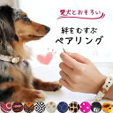 楽天オジコペット[50％offクリアランスクーポン][セット販売] 犬用 首輪 ブレスレット セット販売 犬とおそろい おしゃれ かわいい やわらかい 痛くない ビーガンレザー 大型犬 中型犬 小型犬 超小型犬 超大型犬 プレゼント 贈り物 かっこいい アルゴスカラー