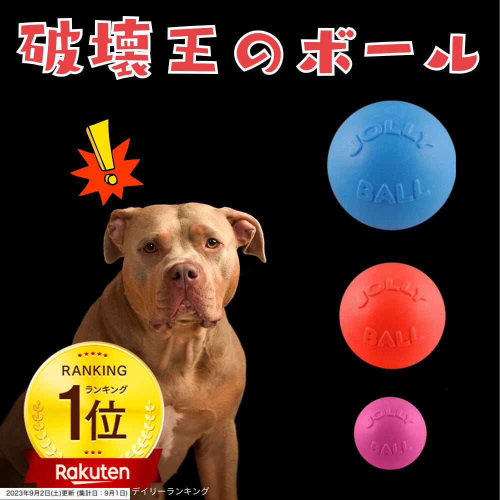 壊れない ボール 犬 バウンス プレイ Bounce Play 犬用 パンクしない おもちゃ ジョリーペット ジョリーボール 頑丈 丈夫 噛むおもちゃ 小型犬 中型犬 大型犬 超大型犬 Jolly Pets