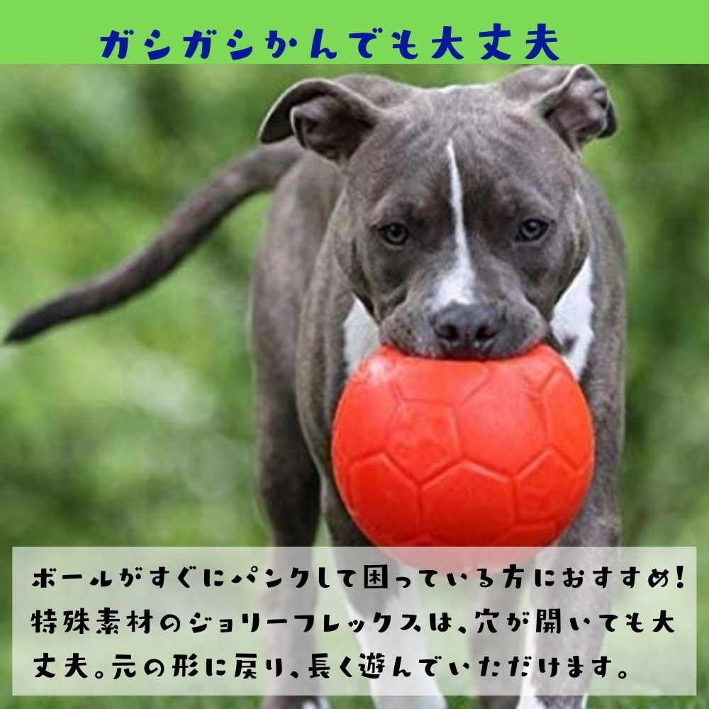 米国ロングセラーのジョリーボール 噛んで穴が開いてしまっても つぶれるないのが特徴 Jollypets2点で500円オフ サッカーボール Lサイズ Jolly Soccer Ball犬用 ボール おもちゃ 壊れない 頑丈 丈夫 噛むおもちゃジョリーボール ジョリーペットjolly Pets 大型犬 中型犬