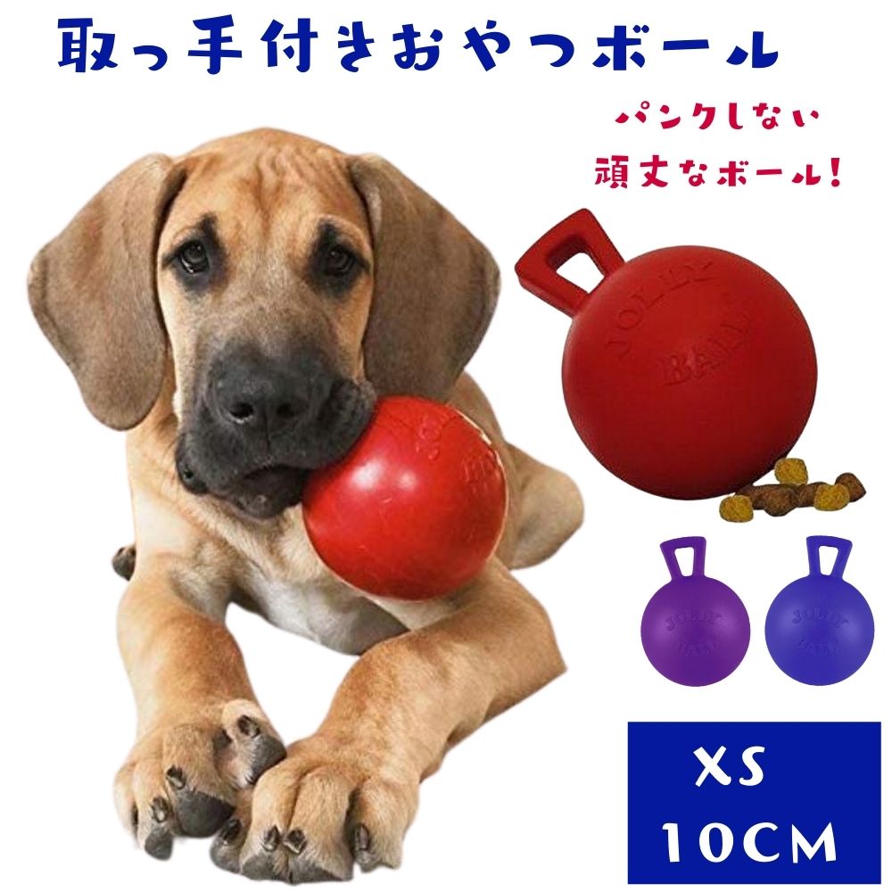 パンクしない 犬用 ボールタグ&トス [MINI / XS] 丈夫 頑丈 長持ち トリーツボール おやつボール ゴムボール 取っ手付き