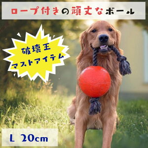 犬用 ボール 丈夫 紐付き [Lサイズ] 大きめ パンクしない 壊れない Jolly Pets ジョリーペット Romp-n-Roll ロンプンロール ジョリーボール ロープ おもちゃ ジョリーペット 投げるおもちゃ 噛むおもちゃ 弾む 中型犬 大型犬 超大型犬