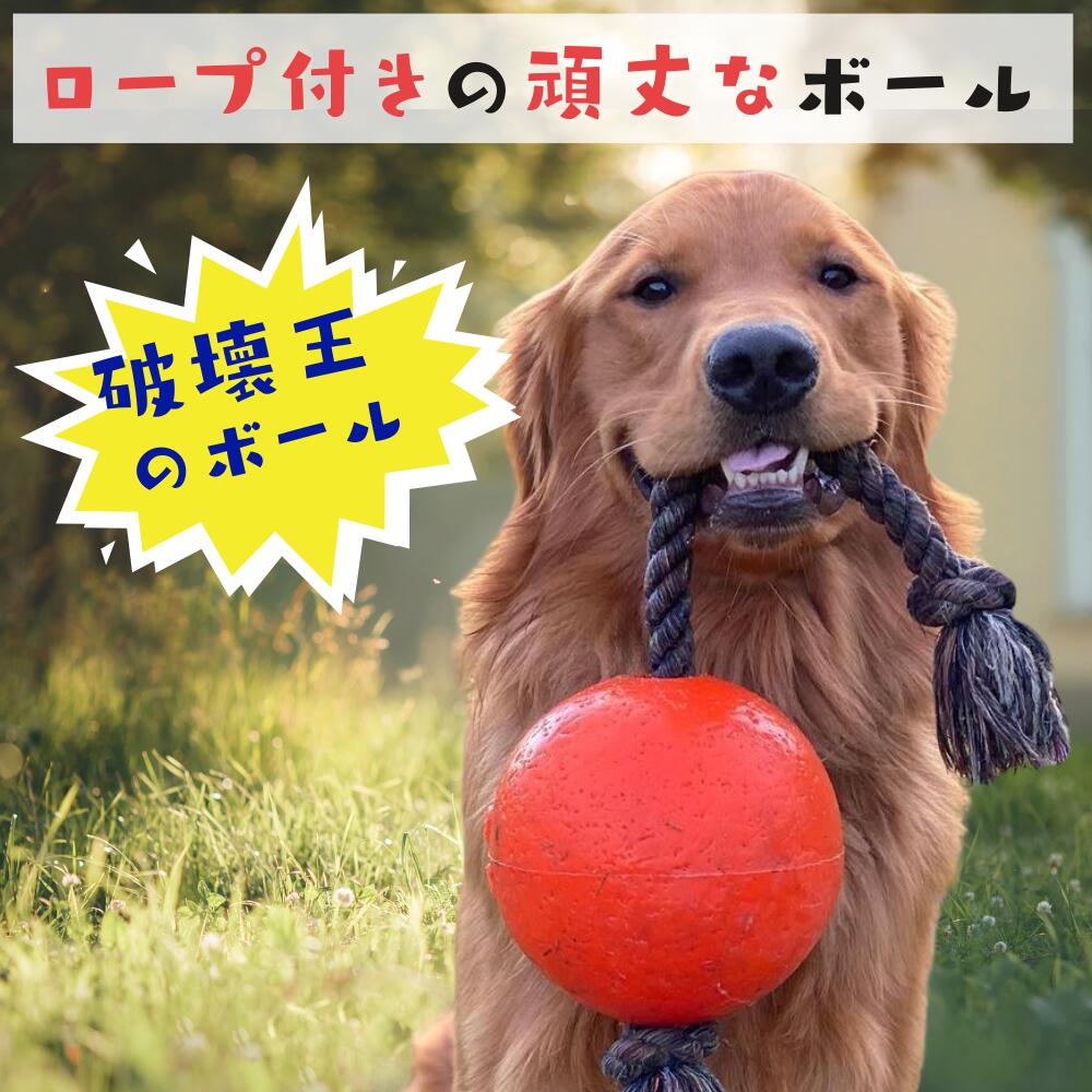 ドギーマン　わんぱくフレンド　ソフトボール　犬　犬用おもちゃ　ぬいぐるみ【HLS_DU】　関東当日便