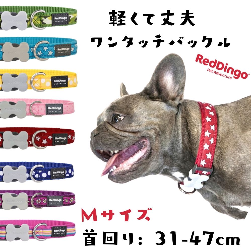 [30%offクリアランスクーポン]犬用 首輪 Mサイズ 大型犬 中型犬 デザイン 犬用 ベーシック首輪 ワンタッチバックル Reddingo レッドデ..