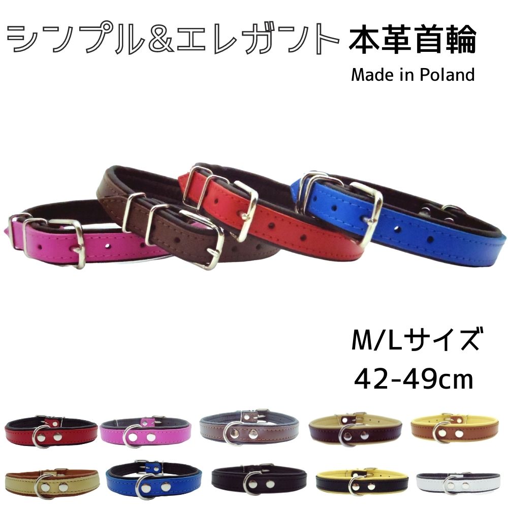 犬用 首輪 本革 牛革 レザー やわらかい 痛くない 上質 長持ち カラバリ Zooleszcz ゾーレシチ レッド ピンク ブラウン キャメル ブルー ブラック ホワイト ベージュ 小型犬 中型犬 [M/Lサイズ][900]