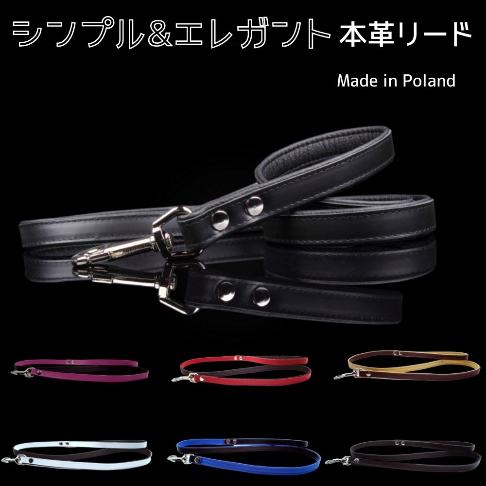 シンプル おしゃれ 高品質 本革リード 犬用 牛革 小型犬 中型犬 大型犬 かっこいい 上質 高級 ZOOleszcz ゾーレシチ レッド ブラウン ホワイト ブルー ピンク ブラック