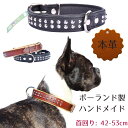 ZOOleszcz (ゾーレシチ) 犬用 首輪 (首回り: 42-53cm / 幅: 3cm) スパイク スタッド スタッズ 2連 革製 本革 レザー ポーランド製 【765】