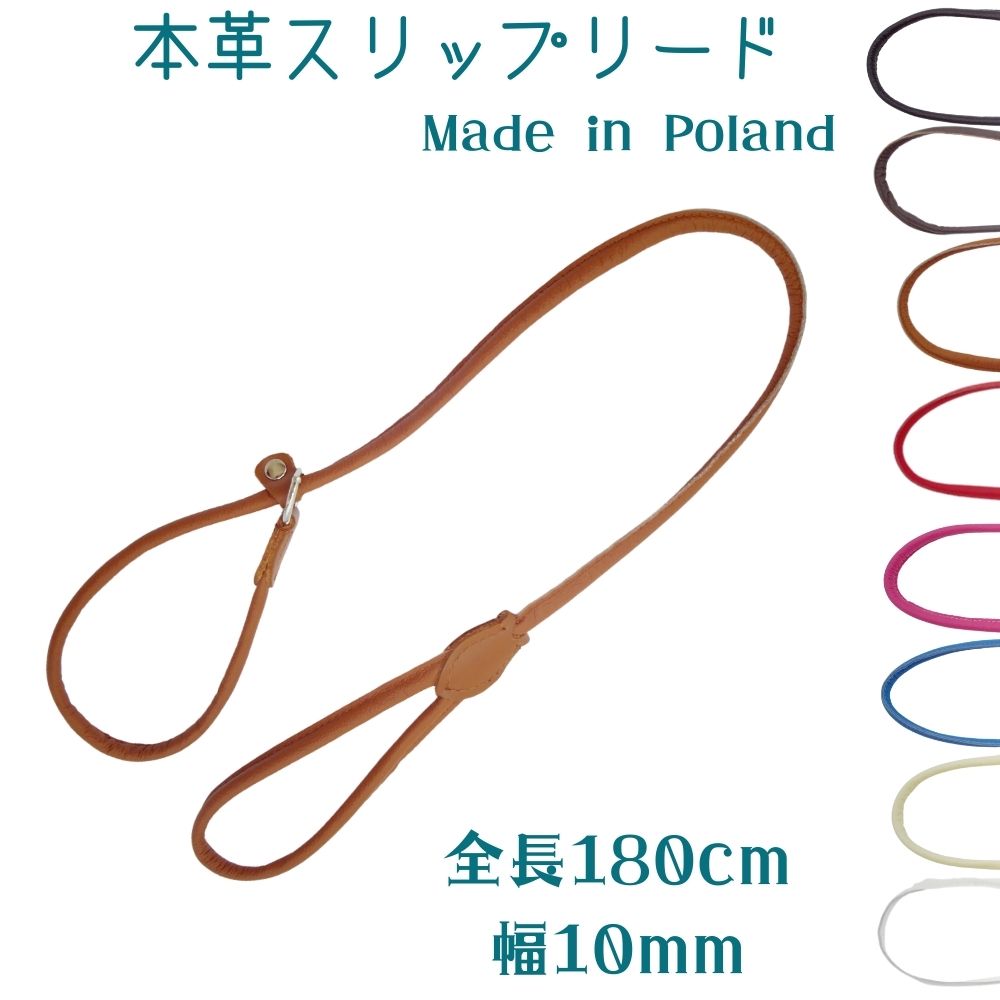 犬用 首輪とリードが1つになったスリップリード チョークカラー フルチョーク 本革 ナッパーレザー 小型犬 中型犬 大型犬 ブルー レッド ホワイト ブラック ブラウン ZOOleszcz ゾーレシチ