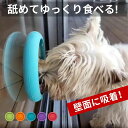 ドギーマン わんこのでるでる自飯器(1個)【ドギーマン(Doggy Man)】