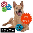 [2個セット]犬用 ボール ホーリーローラー [ミディアム] おもちゃ ゴム トリーツボール 知育玩具 丈夫 頑丈 パンクしない JWペットカンパニー JW Pet Hol-ee Roller レッド パープル ブルー グリーン 小型犬 中型犬 大型犬