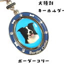 犬種別 キーホルダー (ボーダーコリー) メタル プレゼント 贈り物 キーチェーン ギフト チャーム