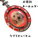 犬種別 キーホルダー (ラブラドゥードル) メタル プレゼント 贈り物 キーチェーン ギフト チャーム