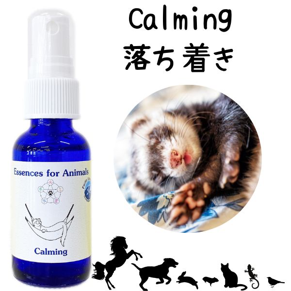 フラワーエッセンス パシフィックエッセンス Pacific Essence 犬 猫 小動物用 [5エレメントスプレー6本..