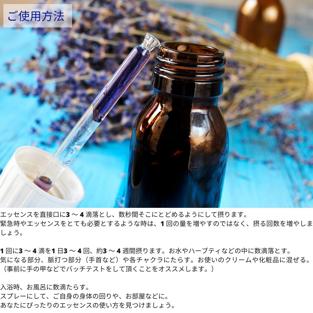 オジコペットのコグニス オーストラリアンブッシュ フラワーエッセンス フラワーレメディー (30ml)｜アングル3