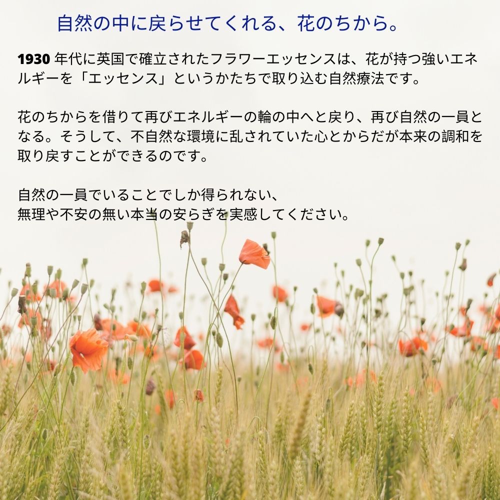 シャネル CHANEL チャンス 50ml EDT SP fs 【香水 レディース】【即納】