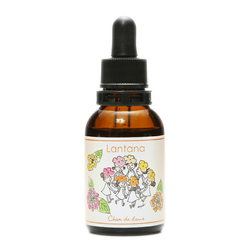 予約】サンドダラー (7.5ml)パシフィックエッセンス