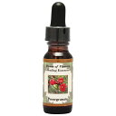 |OiCg[Pomegranate] (15ml) p[Iut[q[OGbZX t[GbZX t[fB[