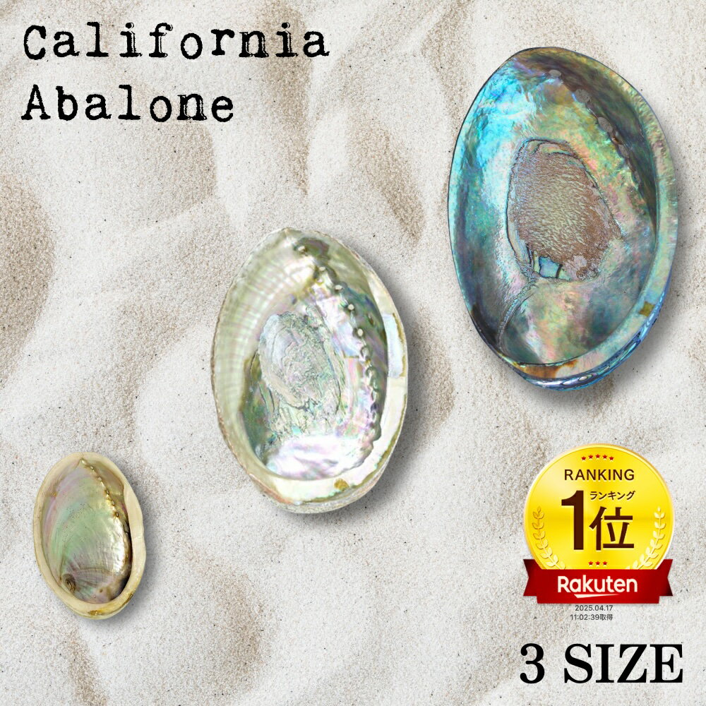 アバロンシェルホルダー あわび 貝 虹色 小物入れ 香木 パロサント 受け皿 パロサントホルダー 香炉 ホワイトセージ お香 大きめ 小さめ