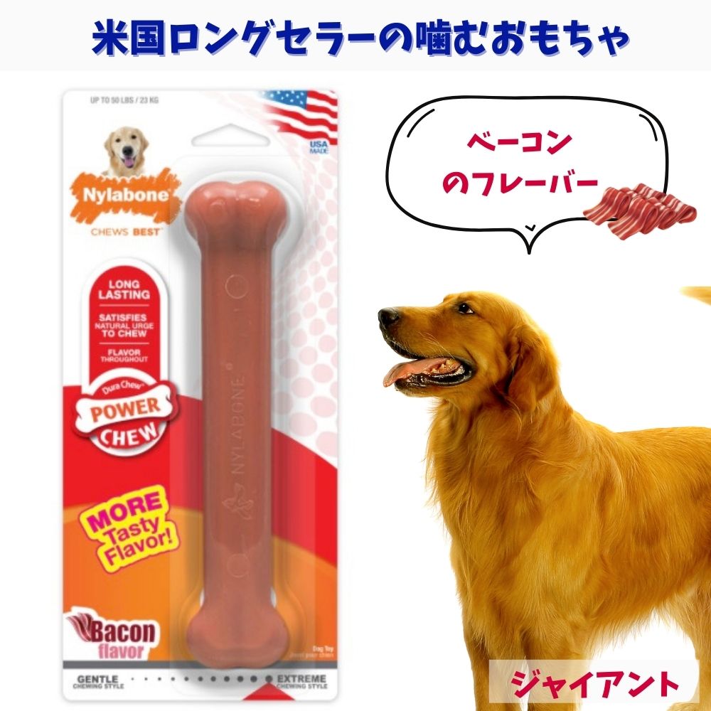 Nylabone iC{[ p ނ ^ {[ [p[`[] h[ s XgX  x[R WCAgNB104P