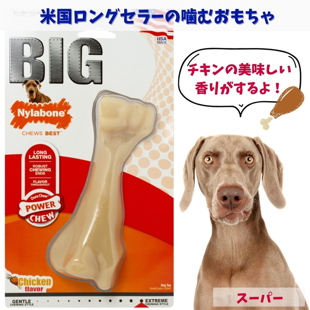 Nylabone ナイラボーン 犬用 噛むおもちゃ 骨型 ボーン  KNUCKLE BONE チキンフレーバー 不安 ストレス 解消 中型犬 大型犬 NBC101P