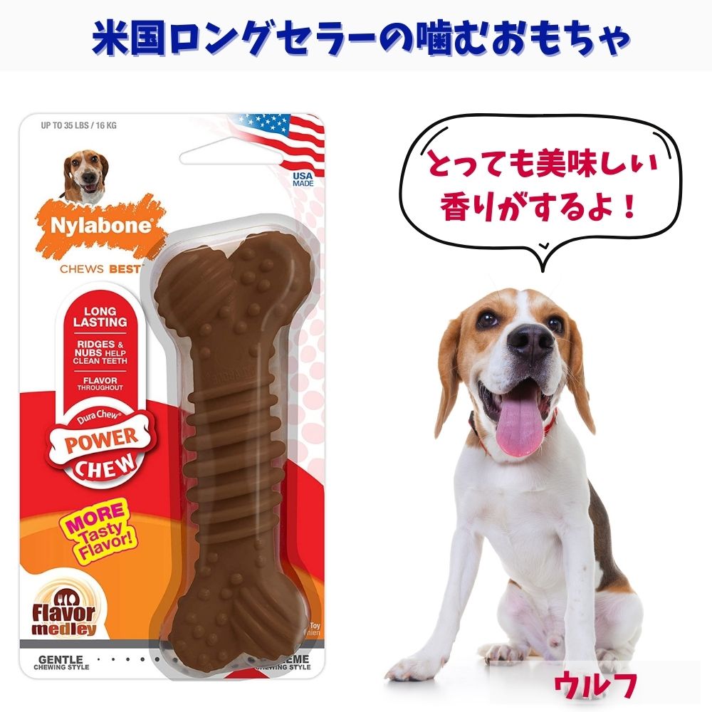 Nylabone ナイラボーン 犬用 噛むおもちゃ 骨型 ボーン  メドレー 不安 ストレス 解消 チキンフレーバー ウルフ NCF303P