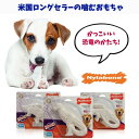 Nylabone ナイラボーン 犬用 噛むおもちゃ ダイナソー 恐竜 パワーチュー チキンフレーバー 不安 ストレス 解消 中型犬 大型犬 NDD101P