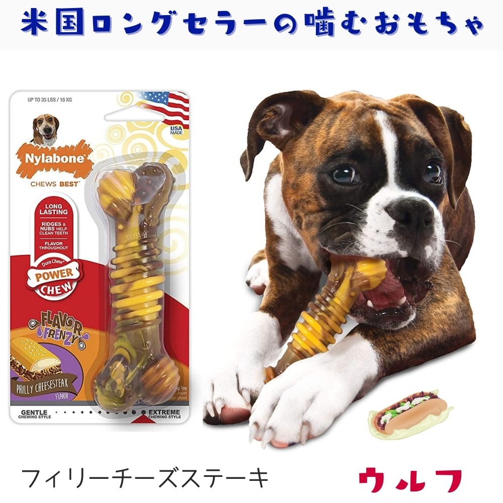 Nylabone ナイラボーン 犬用 噛むおもちゃ フィリーチーズステーキ 骨型 ボーン  メドレー 不安 ストレス 解消  