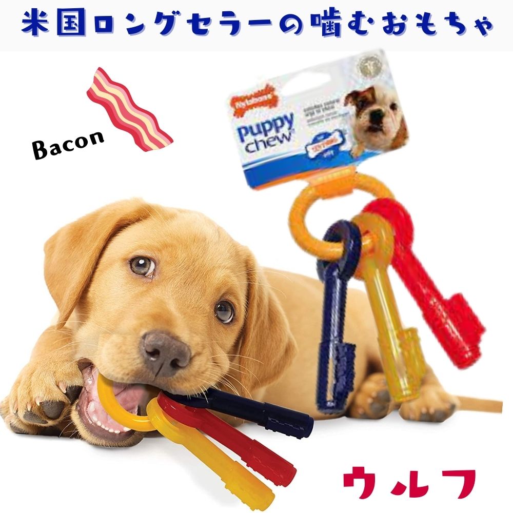 Nylabone ナイラボーン 鍵型 犬用 噛むおもちゃ 骨型 ボーン パピーチュー 不安 ストレス 解消 ベーコンフレーバー  N221P