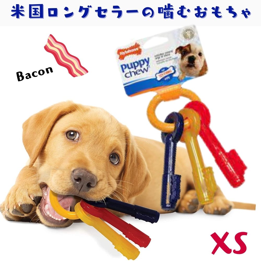 Nylabone ナイラボーン 鍵型 犬用 噛む