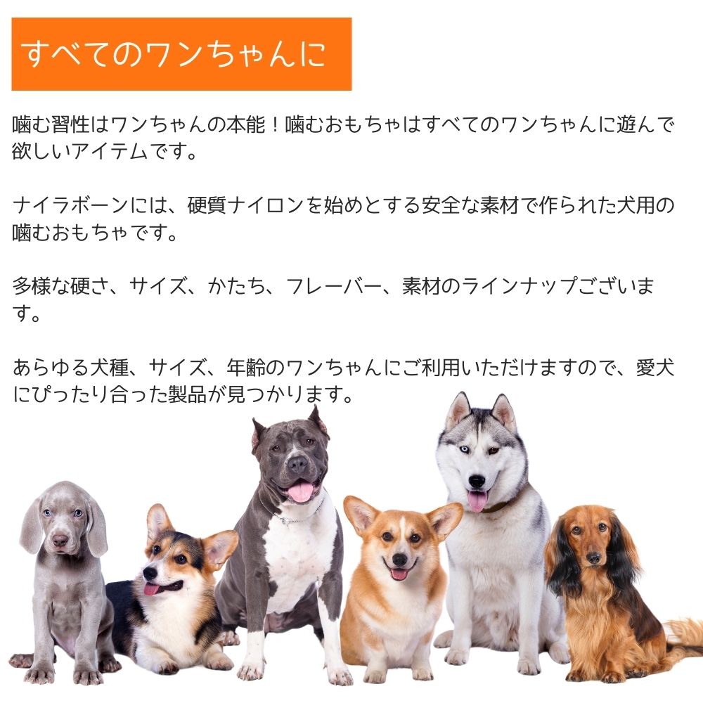 ロングセラー 噛むのが大好きな破壊王のワンちゃんに ナイラボーン2点300円オフ 3点800円オフ Nylabone ナイラボーン 鍵型 60 以上節約 犬用 噛むおもちゃ 不安 パピーチュー N221p 骨型 ストレス ウルフ ボーン ベーコンフレーバー 解消 ロングセラー 噛むのが大好きな破壊王のワンちゃんに ナイラボーン2点300円オフ 3点800円オフ Nylabone ナイラボーン 鍵型 60 以上節約 犬用 噛むおもちゃ 不安 パピーチュー N221p 骨型 ストレス ウルフ ボーン ベーコンフレーバー 解消