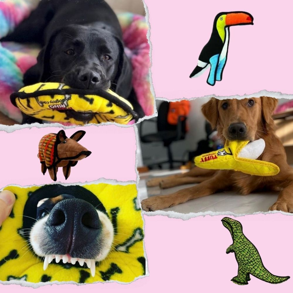 タフスケール 耐久レベル レベル10 サイズ 5 08cm 35 56cm 10 16cm スクイーカー 2つ 大型犬向き Tuffys Mighty2点500円オフ 3点1000円オフ タフィーズ Web限定カラー 丈夫 耐久度10 頑丈 犬用 長持ち メガ おもちゃ 音が鳴る ぬいぐるみ 犬のおもちゃ ボーン Tuffy S