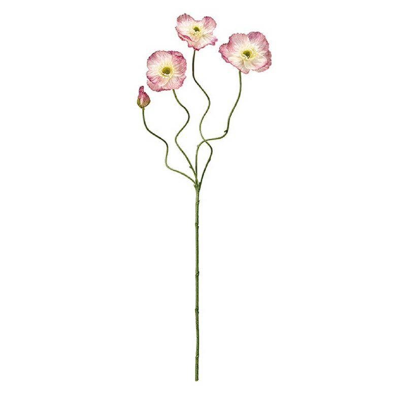 エレナポピー #48 CR/MV